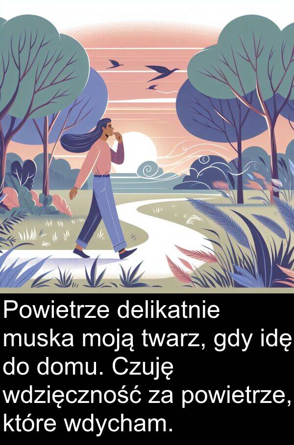 powietrze: Powietrze delikatnie muska moją twarz, gdy idę do domu. Czuję wdzięczność za powietrze, które wdycham.