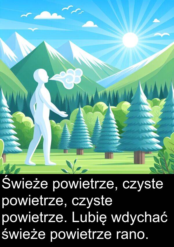 powietrze: Świeże powietrze, czyste powietrze, czyste powietrze. Lubię wdychać świeże powietrze rano.