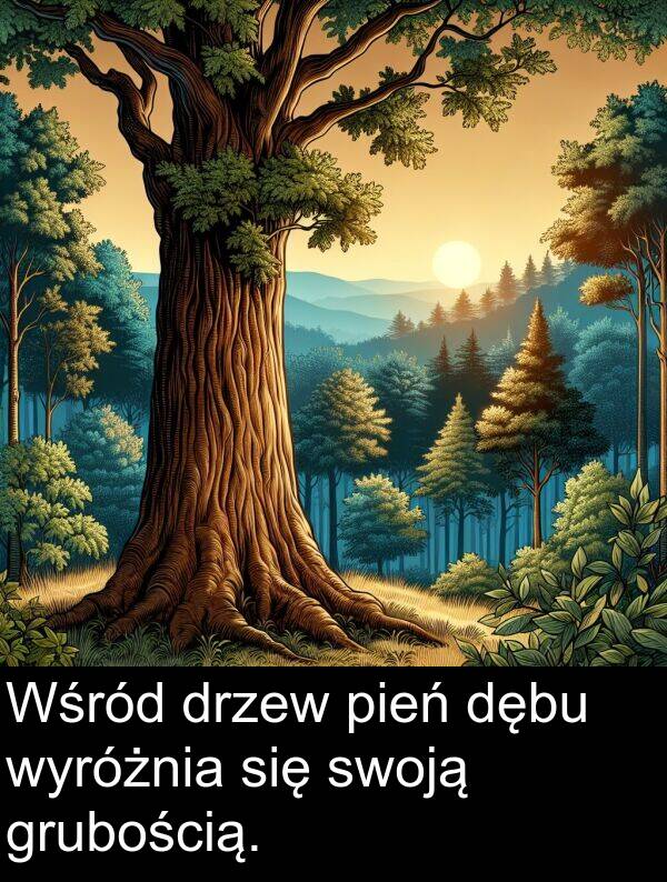 pień: Wśród drzew pień dębu wyróżnia się swoją grubością.