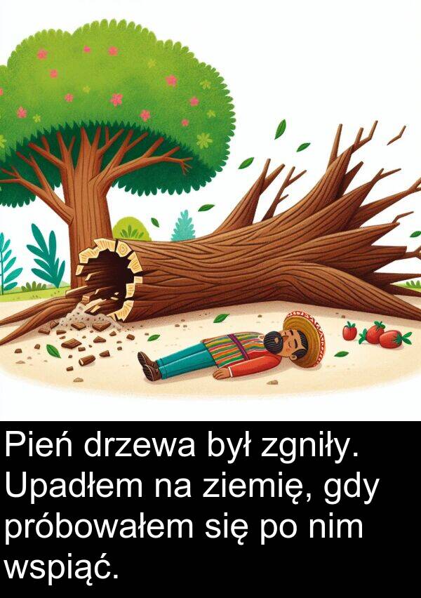 próbowałem: Pień drzewa był zgniły. Upadłem na ziemię, gdy próbowałem się po nim wspiąć.