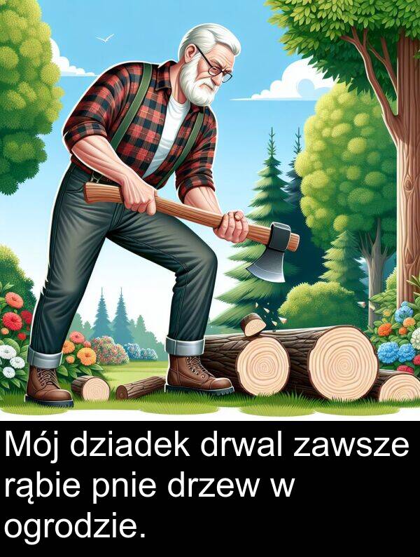 zawsze: Mój dziadek drwal zawsze rąbie pnie drzew w ogrodzie.