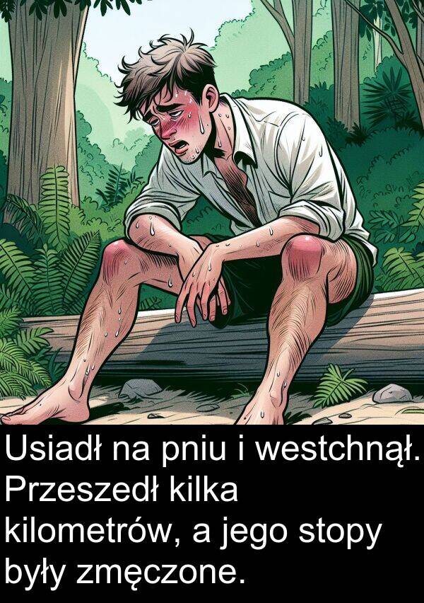zmęczone: Usiadł na pniu i westchnął. Przeszedł kilka kilometrów, a jego stopy były zmęczone.