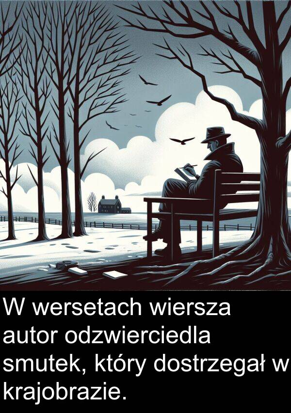smutek: W wersetach wiersza autor odzwierciedla smutek, który dostrzegał w krajobrazie.