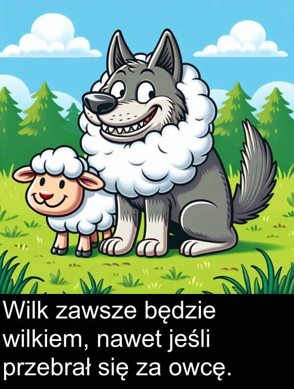przebrał: Wilk zawsze będzie wilkiem, nawet jeśli przebrał się za owcę.