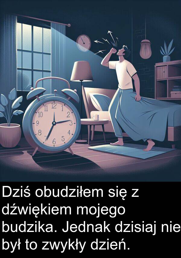 zwykły: Dziś obudziłem się z dźwiękiem mojego budzika. Jednak dzisiaj nie był to zwykły dzień.