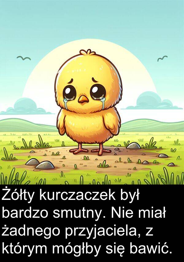 przyjaciela: Żółty kurczaczek był bardzo smutny. Nie miał żadnego przyjaciela, z którym mógłby się bawić.
