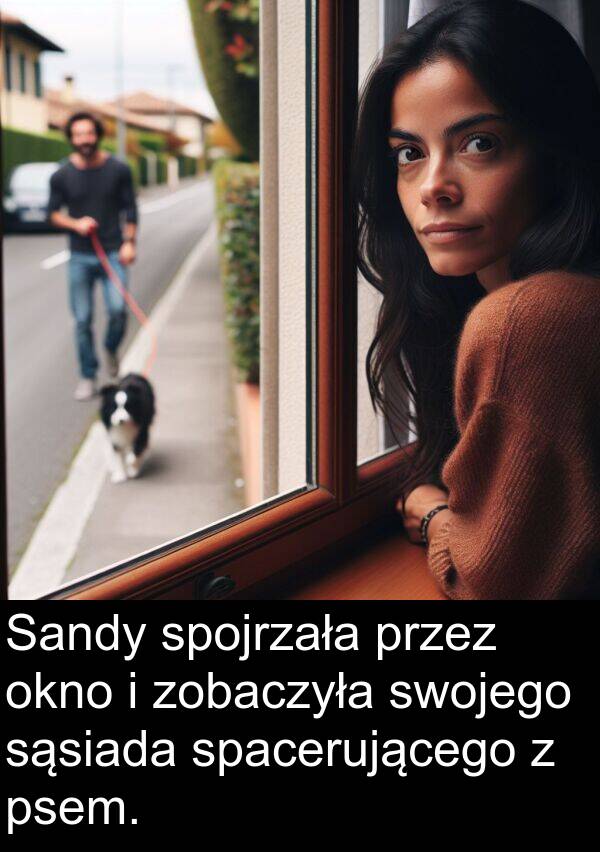 psem: Sandy spojrzała przez okno i zobaczyła swojego sąsiada spacerującego z psem.