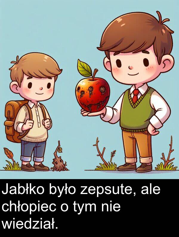 zepsute: Jabłko było zepsute, ale chłopiec o tym nie wiedział.