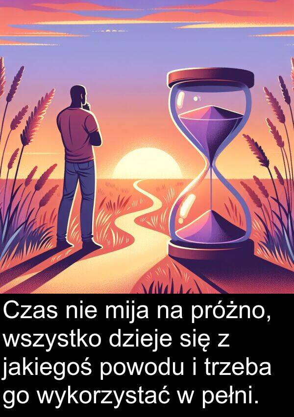 powodu: Czas nie mija na próżno, wszystko dzieje się z jakiegoś powodu i trzeba go wykorzystać w pełni.