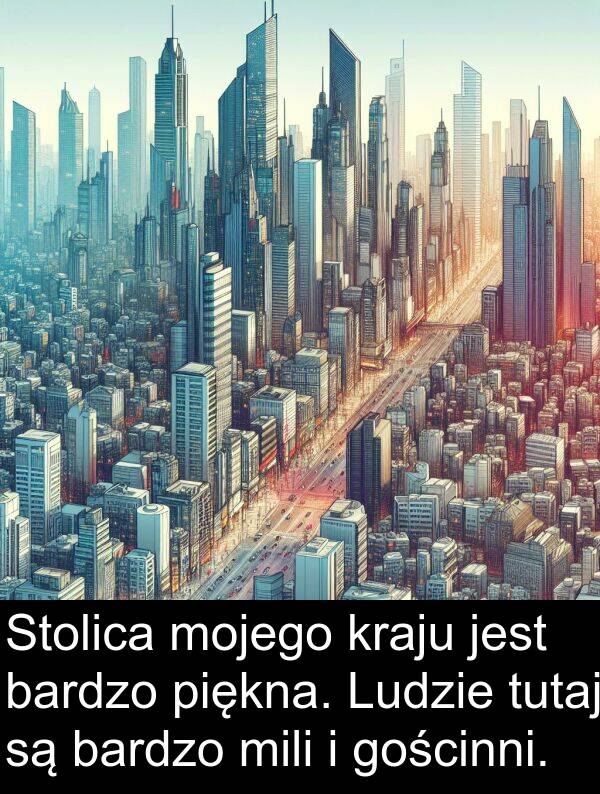 piękna: Stolica mojego kraju jest bardzo piękna. Ludzie tutaj są bardzo mili i gościnni.