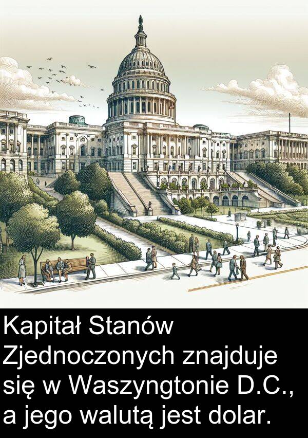 znajduje: Kapitał Stanów Zjednoczonych znajduje się w Waszyngtonie D.C., a jego walutą jest dolar.