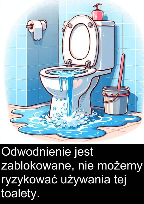 tej: Odwodnienie jest zablokowane, nie możemy ryzykować używania tej toalety.