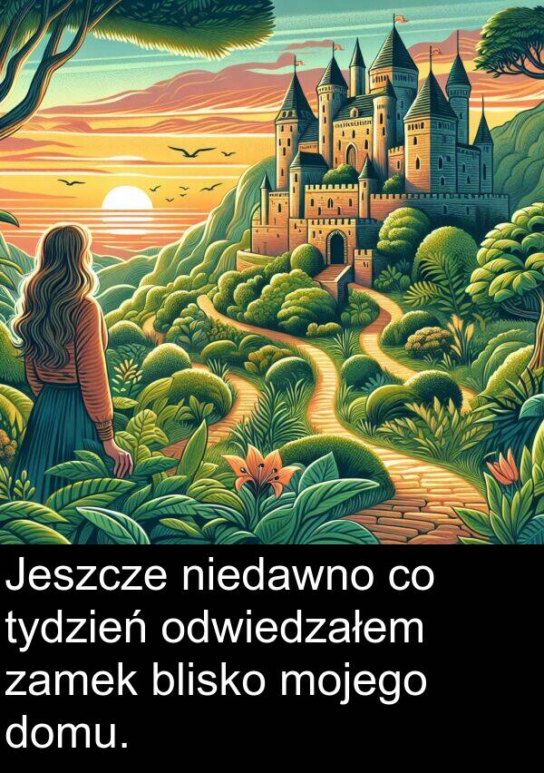 blisko: Jeszcze niedawno co tydzień odwiedzałem zamek blisko mojego domu.