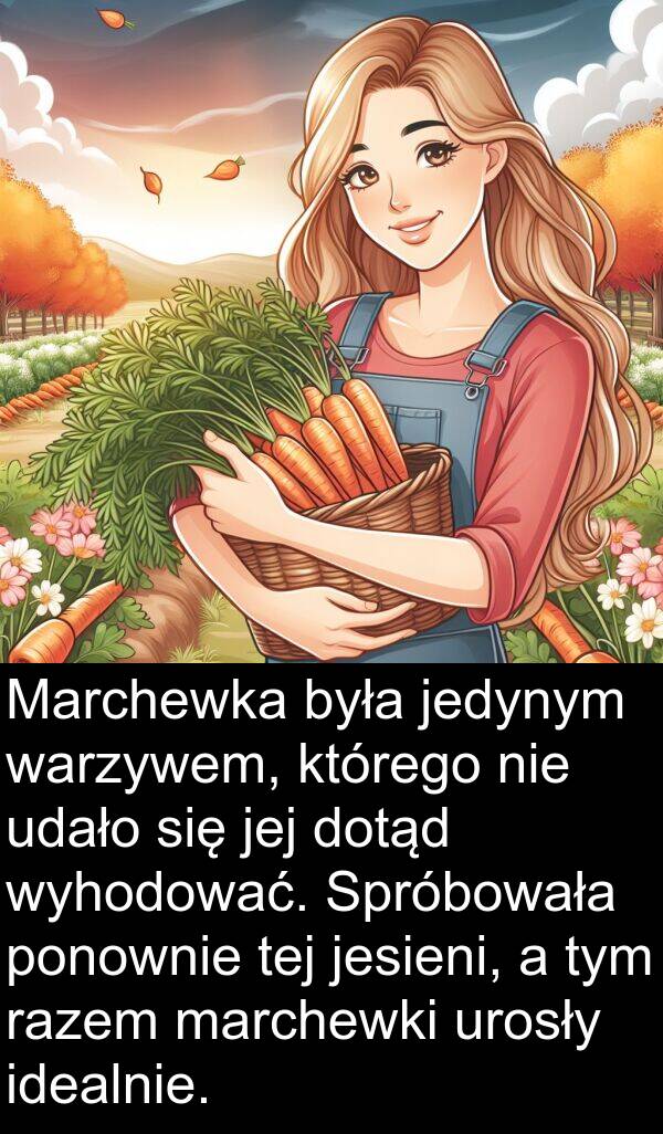 jedynym: Marchewka była jedynym warzywem, którego nie udało się jej dotąd wyhodować. Spróbowała ponownie tej jesieni, a tym razem marchewki urosły idealnie.
