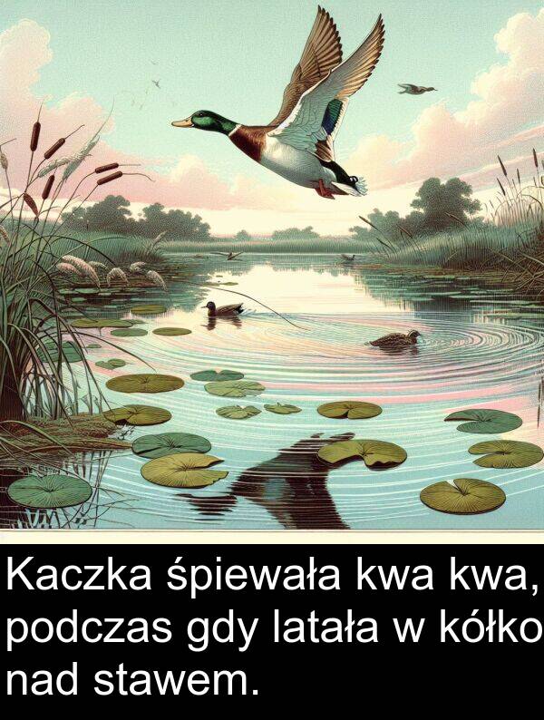 nad: Kaczka śpiewała kwa kwa, podczas gdy latała w kółko nad stawem.