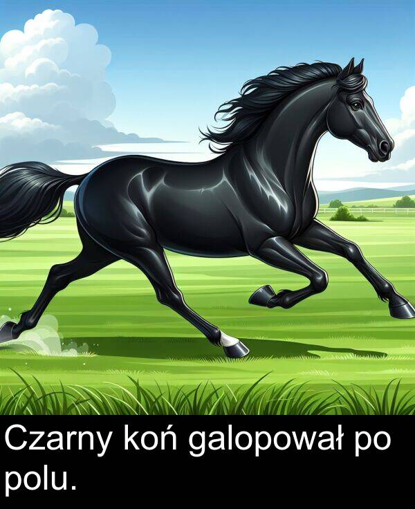 koń: Czarny koń galopował po polu.