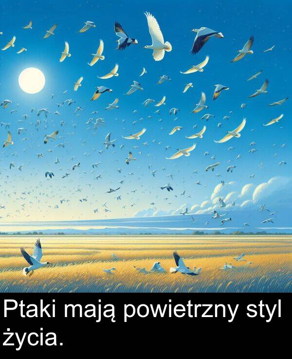 powietrzny: Ptaki mają powietrzny styl życia.