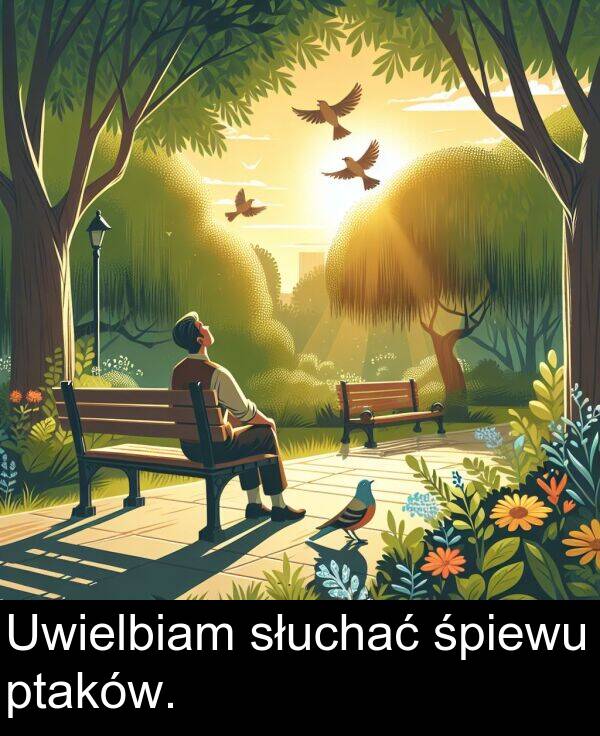 ptaków: Uwielbiam słuchać śpiewu ptaków.