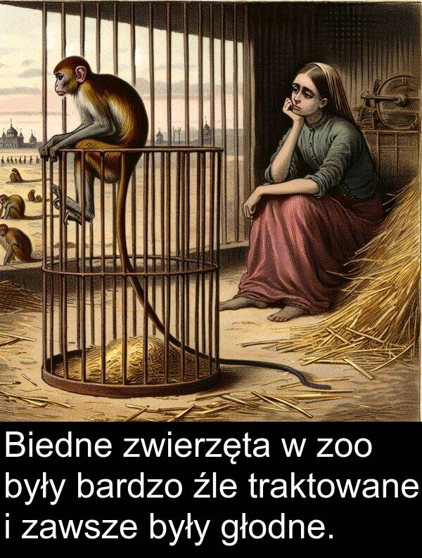 zoo: Biedne zwierzęta w zoo były bardzo źle traktowane i zawsze były głodne.