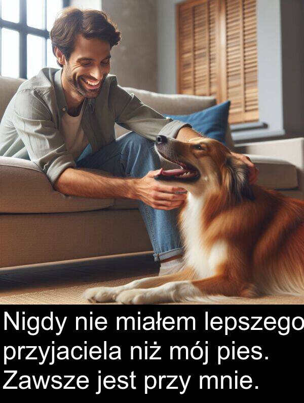 pies: Nigdy nie miałem lepszego przyjaciela niż mój pies. Zawsze jest przy mnie.