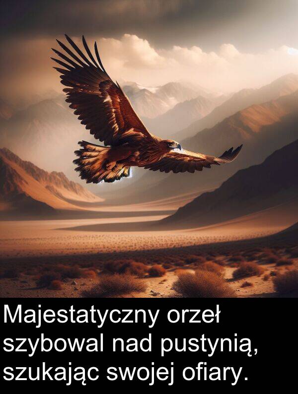 pustynią: Majestatyczny orzeł szybowal nad pustynią, szukając swojej ofiary.