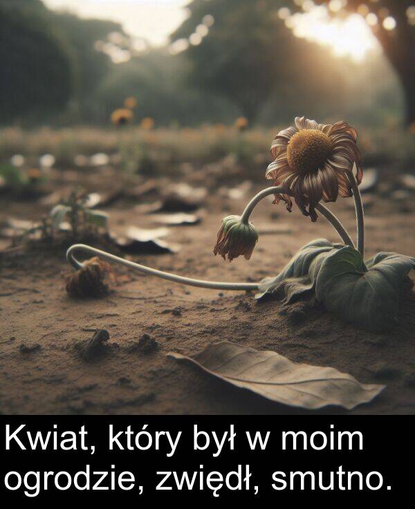 zwiędł: Kwiat, który był w moim ogrodzie, zwiędł, smutno.