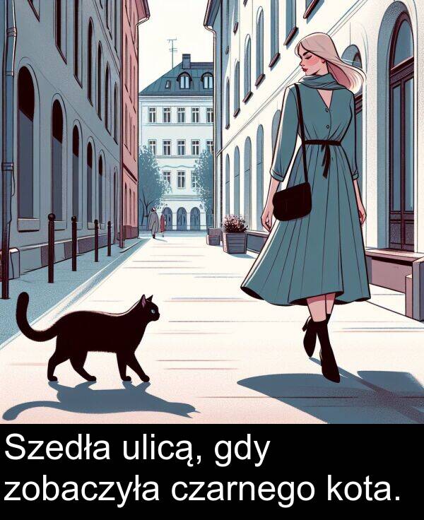 zobaczyła: Szedła ulicą, gdy zobaczyła czarnego kota.