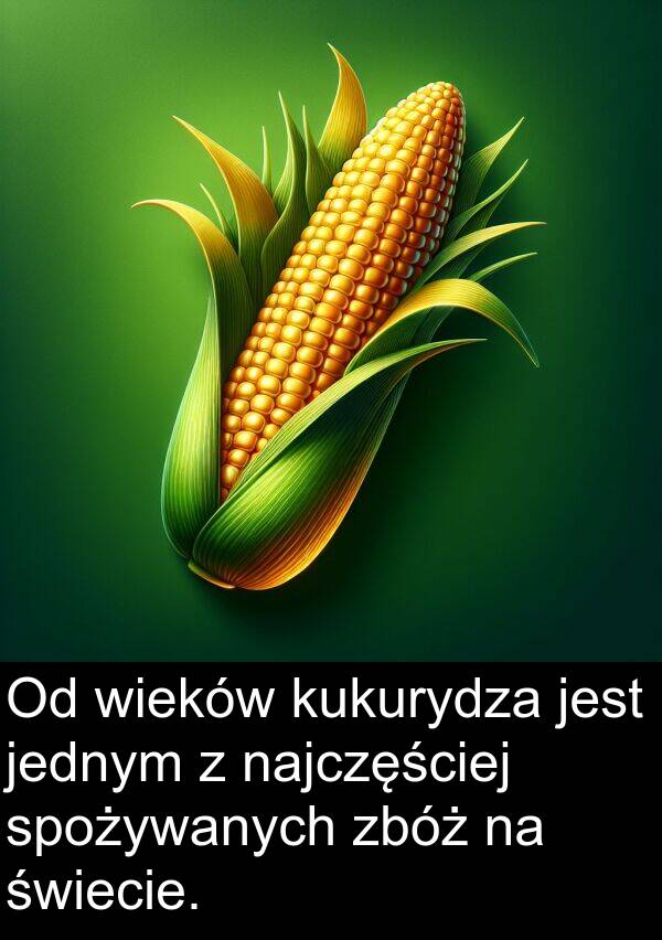 zbóż: Od wieków kukurydza jest jednym z najczęściej spożywanych zbóż na świecie.