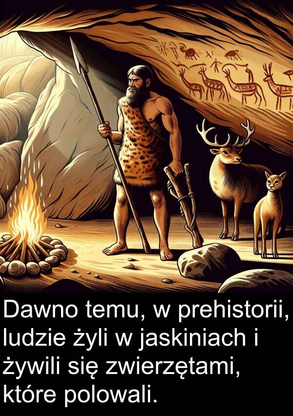 temu: Dawno temu, w prehistorii, ludzie żyli w jaskiniach i żywili się zwierzętami, które polowali.