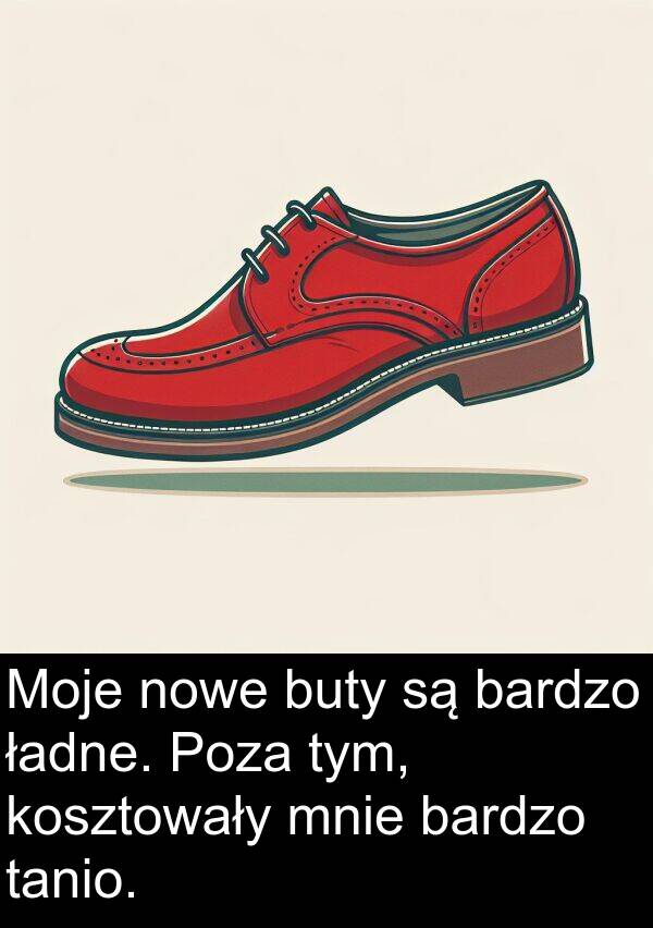 ładne: Moje nowe buty są bardzo ładne. Poza tym, kosztowały mnie bardzo tanio.
