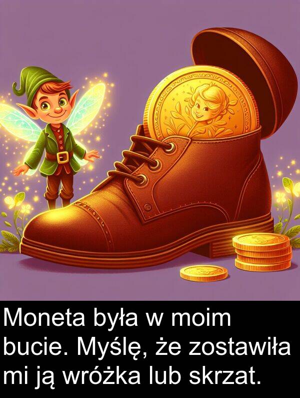 zostawiła: Moneta była w moim bucie. Myślę, że zostawiła mi ją wróżka lub skrzat.