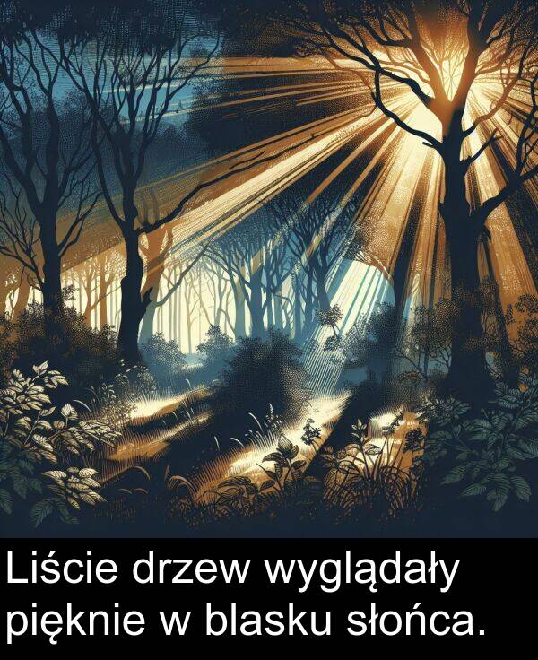 pięknie: Liście drzew wyglądały pięknie w blasku słońca.