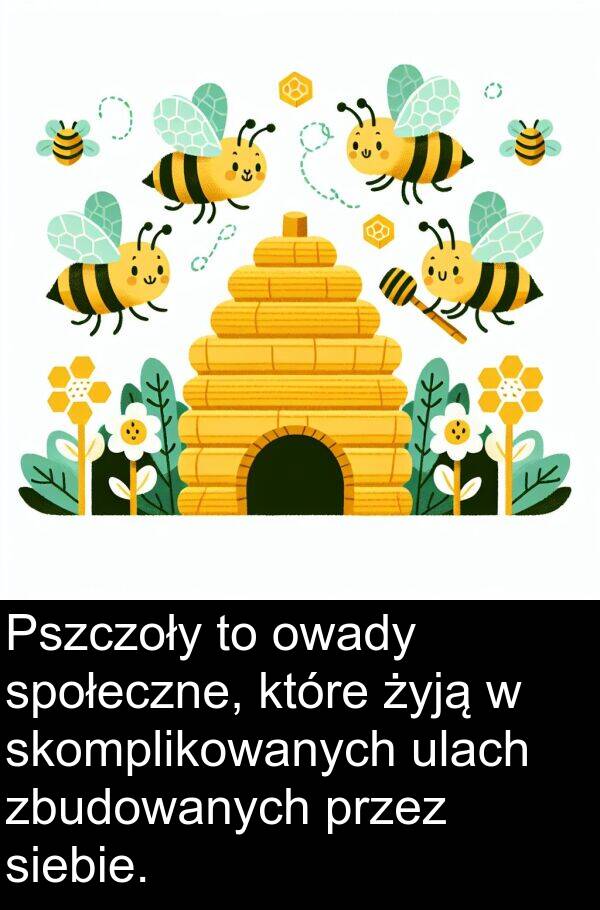 zbudowanych: Pszczoły to owady społeczne, które żyją w skomplikowanych ulach zbudowanych przez siebie.