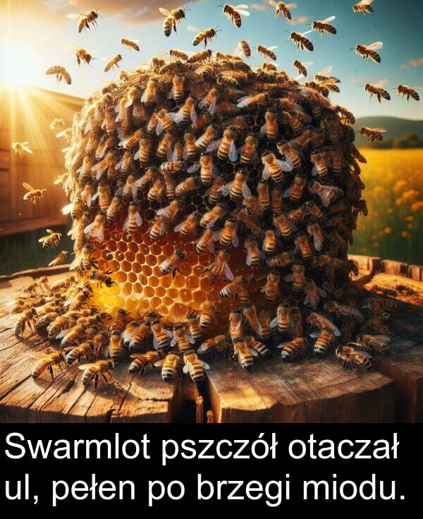 pszczół: Swarmlot pszczół otaczał ul, pełen po brzegi miodu.