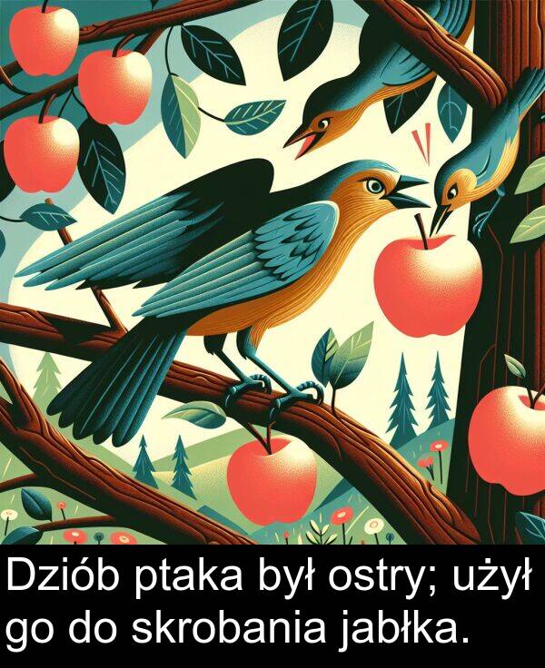 ptaka: Dziób ptaka był ostry; użył go do skrobania jabłka.