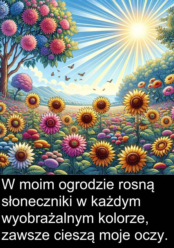 wyobrażalnym: W moim ogrodzie rosną słoneczniki w każdym wyobrażalnym kolorze, zawsze cieszą moje oczy.