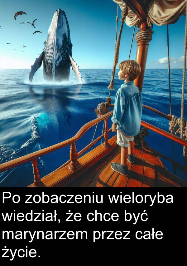 zobaczeniu: Po zobaczeniu wieloryba wiedział, że chce być marynarzem przez całe życie.