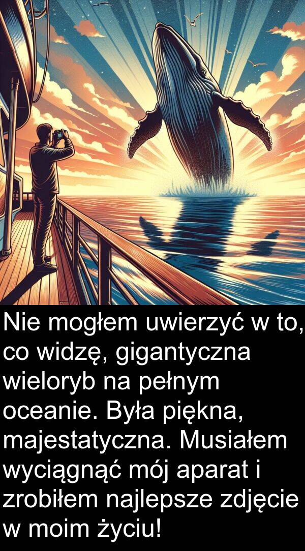 piękna: Nie mogłem uwierzyć w to, co widzę, gigantyczna wieloryb na pełnym oceanie. Była piękna, majestatyczna. Musiałem wyciągnąć mój aparat i zrobiłem najlepsze zdjęcie w moim życiu!
