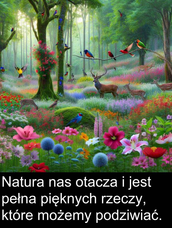 pięknych: Natura nas otacza i jest pełna pięknych rzeczy, które możemy podziwiać.