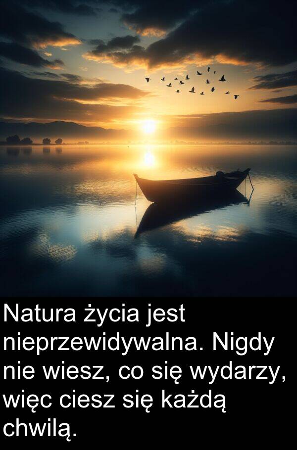 każdą: Natura życia jest nieprzewidywalna. Nigdy nie wiesz, co się wydarzy, więc ciesz się każdą chwilą.