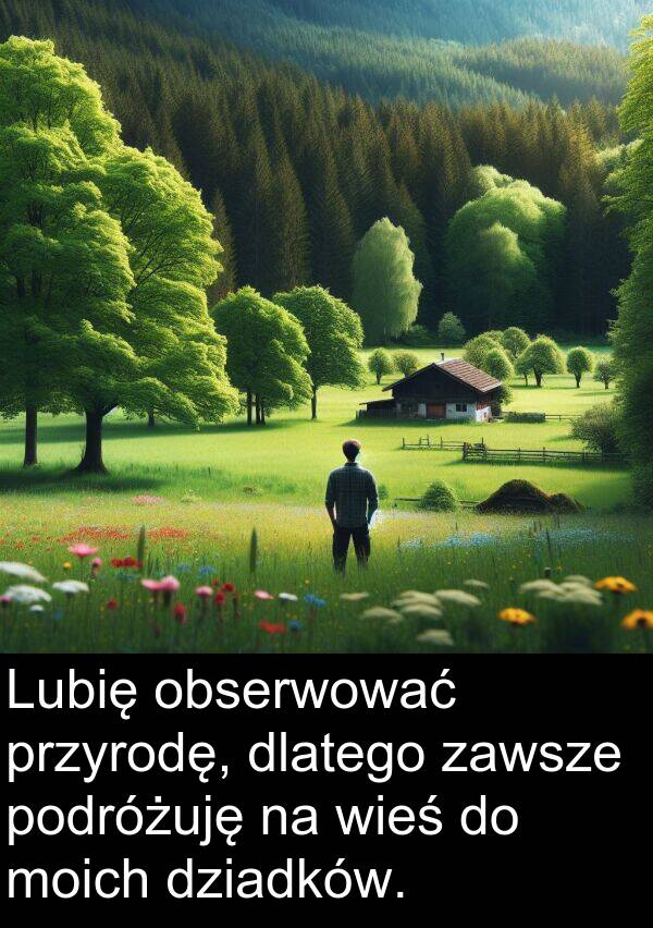 przyrodę: Lubię obserwować przyrodę, dlatego zawsze podróżuję na wieś do moich dziadków.