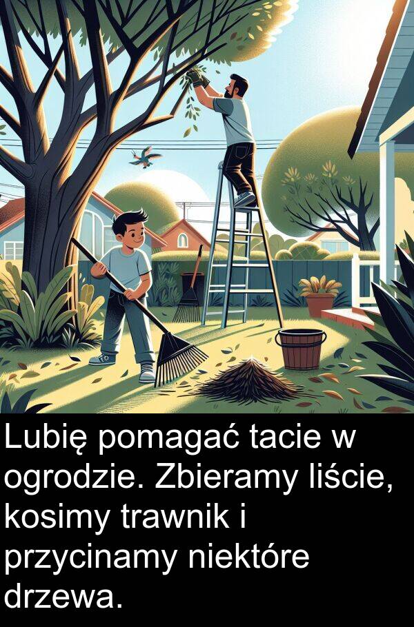 przycinamy: Lubię pomagać tacie w ogrodzie. Zbieramy liście, kosimy trawnik i przycinamy niektóre drzewa.