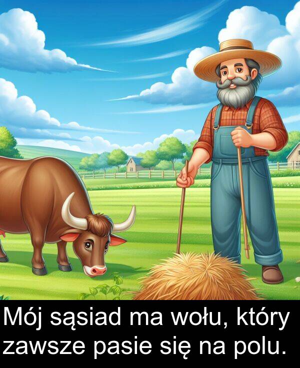 zawsze: Mój sąsiad ma wołu, który zawsze pasie się na polu.