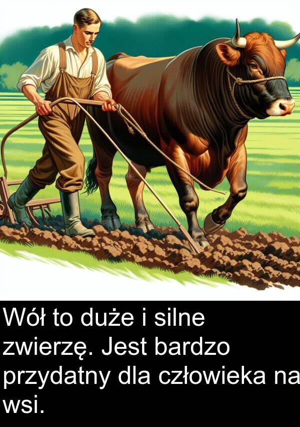 przydatny: Wół to duże i silne zwierzę. Jest bardzo przydatny dla człowieka na wsi.