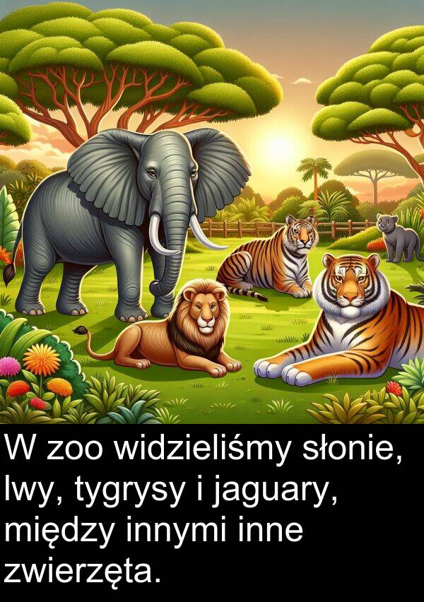 zoo: W zoo widzieliśmy słonie, lwy, tygrysy i jaguary, między innymi inne zwierzęta.