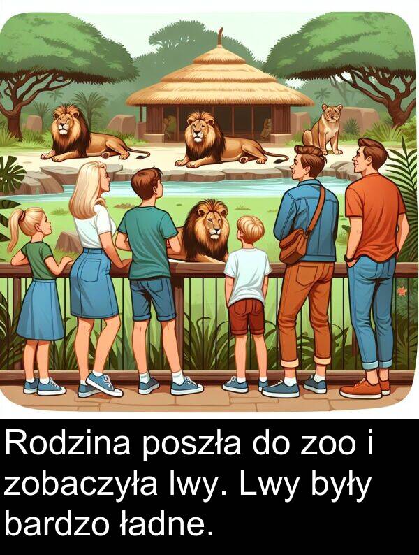 zoo: Rodzina poszła do zoo i zobaczyła lwy. Lwy były bardzo ładne.