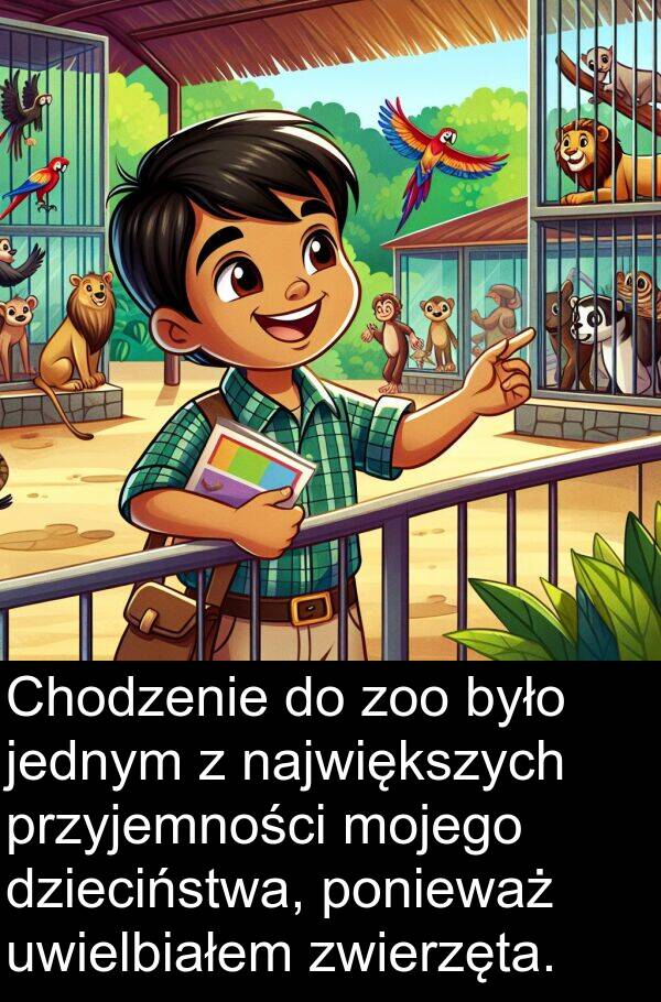 przyjemności: Chodzenie do zoo było jednym z największych przyjemności mojego dzieciństwa, ponieważ uwielbiałem zwierzęta.