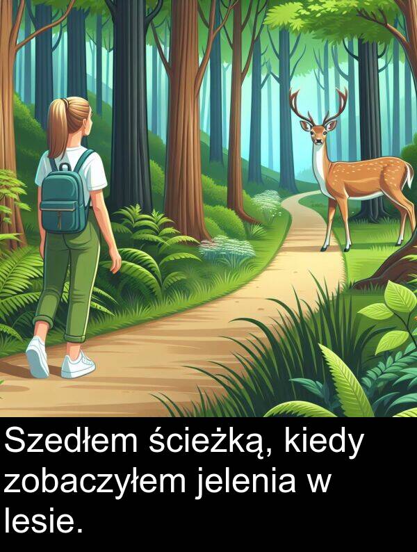 zobaczyłem: Szedłem ścieżką, kiedy zobaczyłem jelenia w lesie.