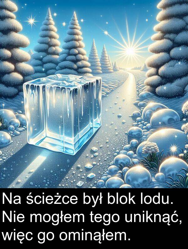 ścieżce: Na ścieżce był blok lodu. Nie mogłem tego uniknąć, więc go ominąłem.