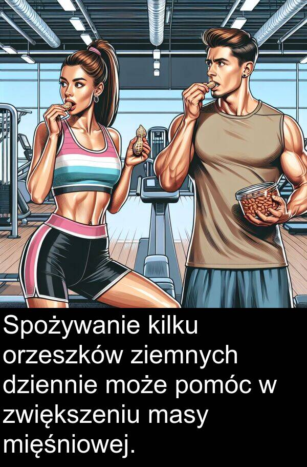 zwiększeniu: Spożywanie kilku orzeszków ziemnych dziennie może pomóc w zwiększeniu masy mięśniowej.